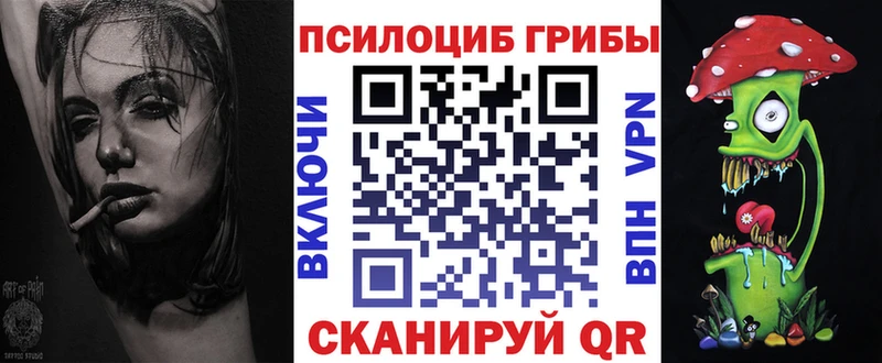 цена Лихославль Псилоцибиновые грибы Psilocybe